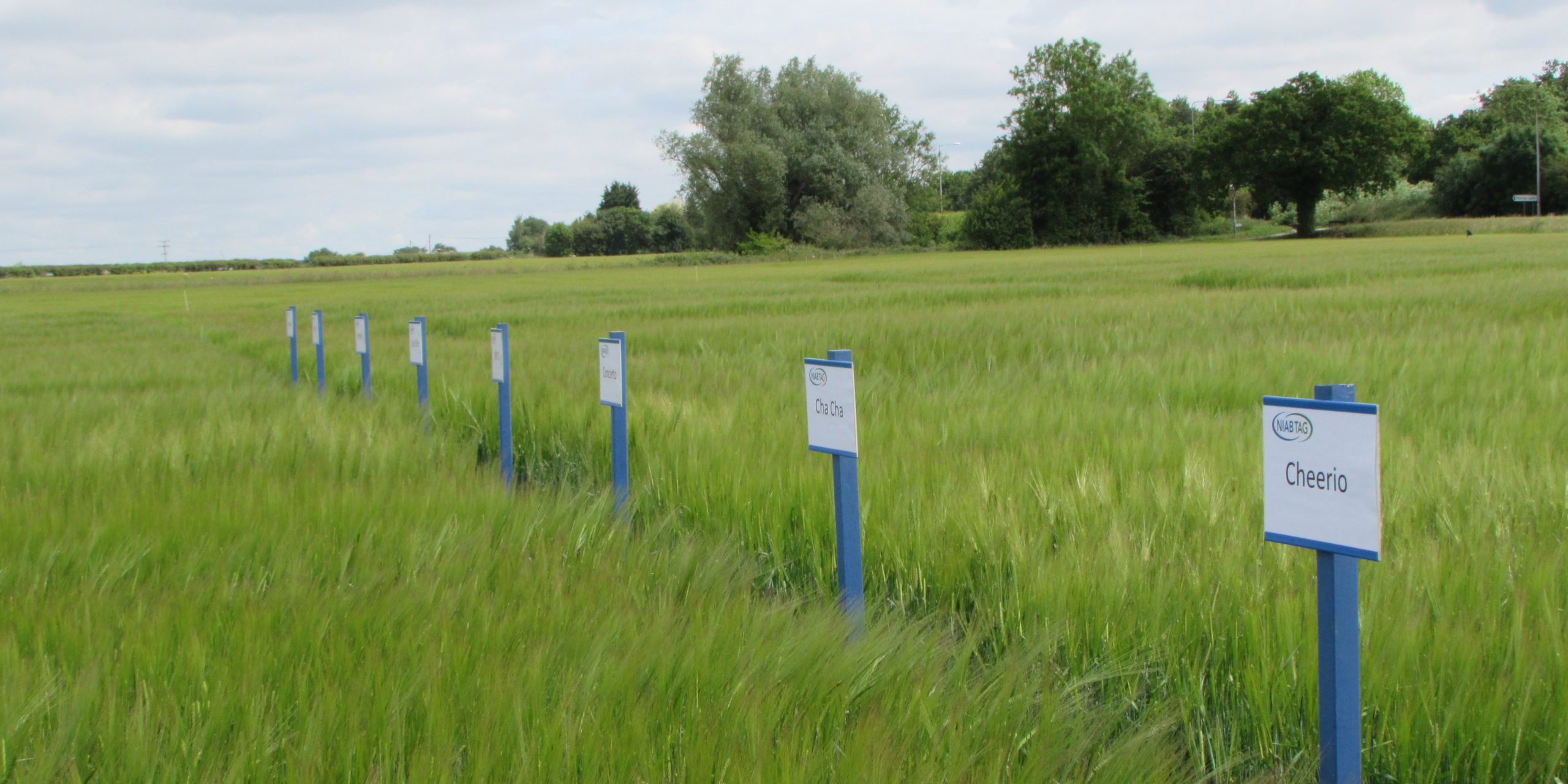 Farming Norfolk East Anglia Agricultural research
