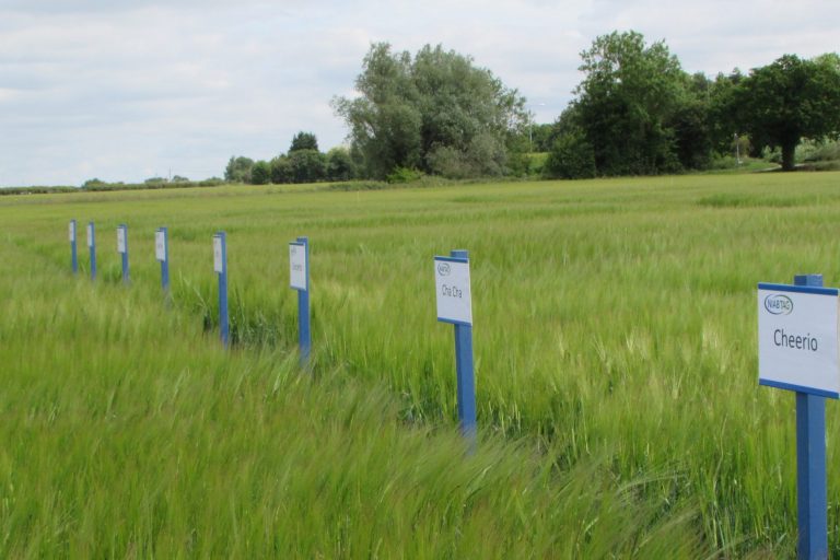 Farming Norfolk East Anglia Agricultural research