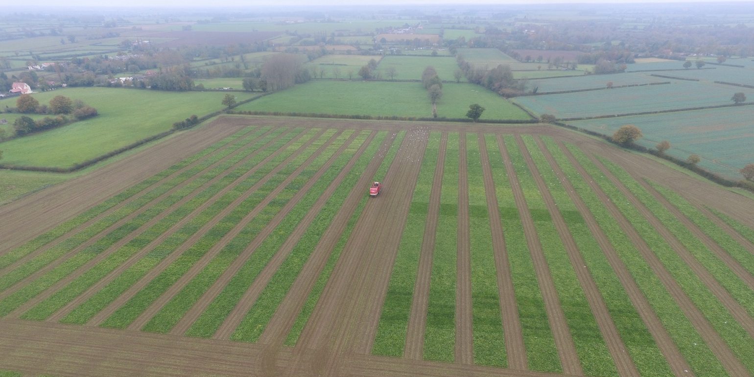 Birds-eye view of typical trials field at TMAF/Morley