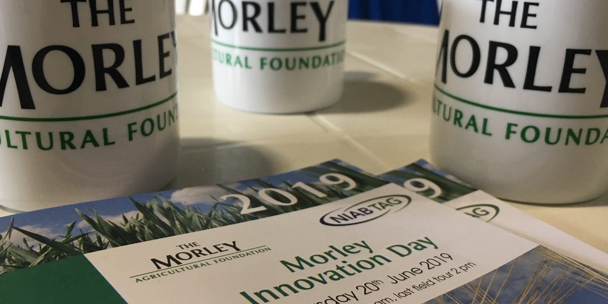 morley-innovation-day-mh