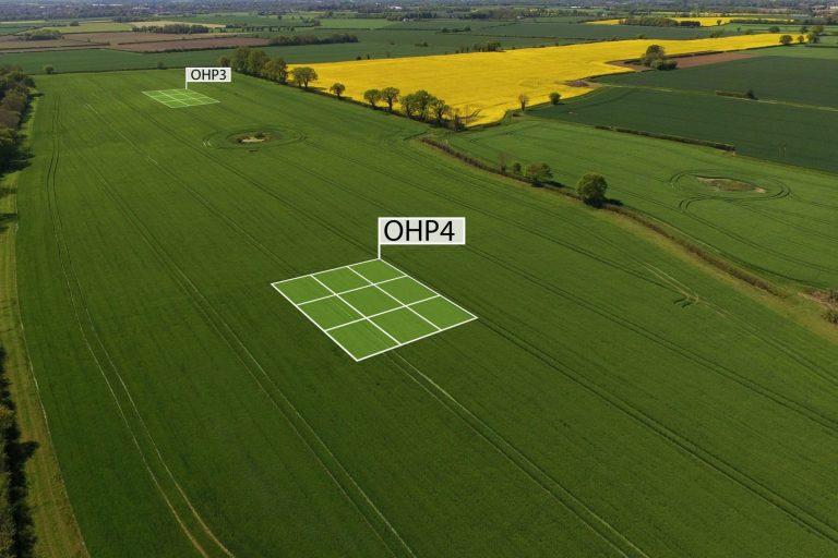 TMAF SAMS project field research plots