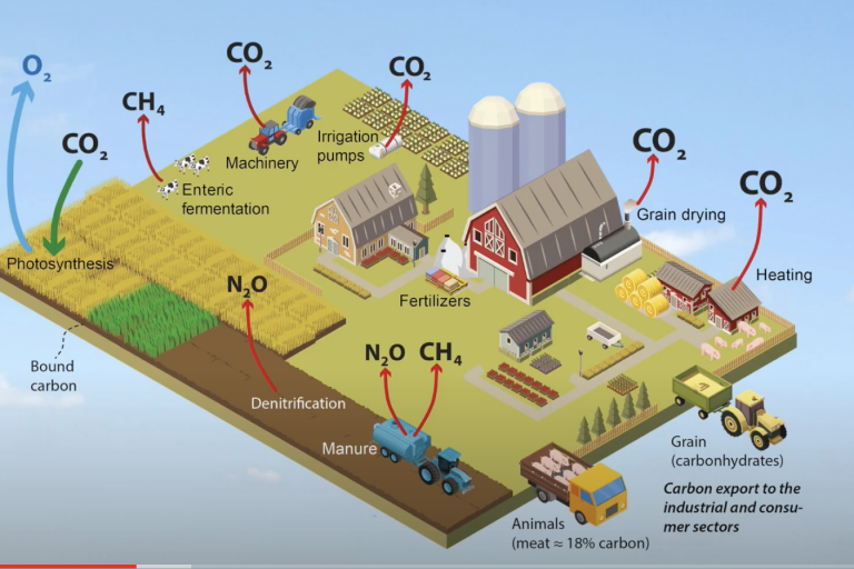 Carbon capture can outweigh farm carbon emissions