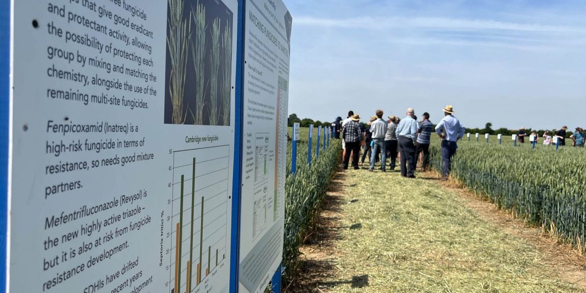 Taking in the science on fungicide use choice at TMAF 2022 Morley Innovation Day
