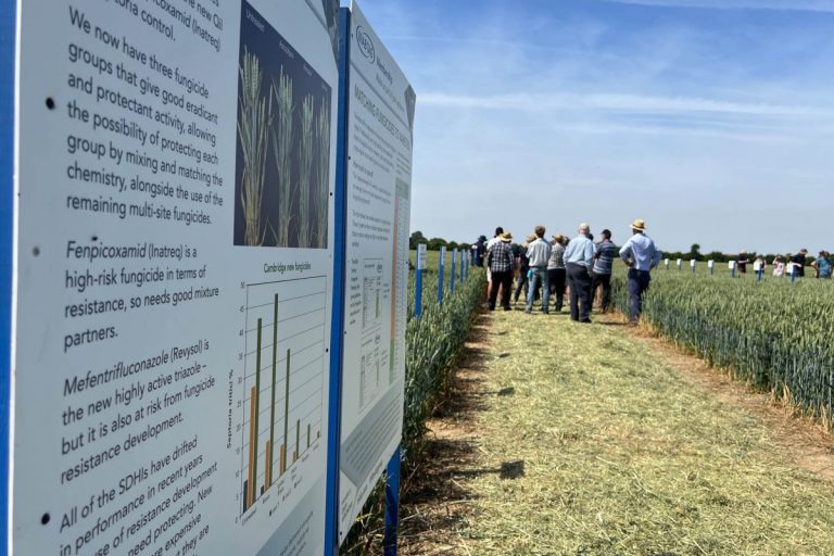 Taking in the science on fungicide use choice at TMAF 2022 Morley Innovation Day