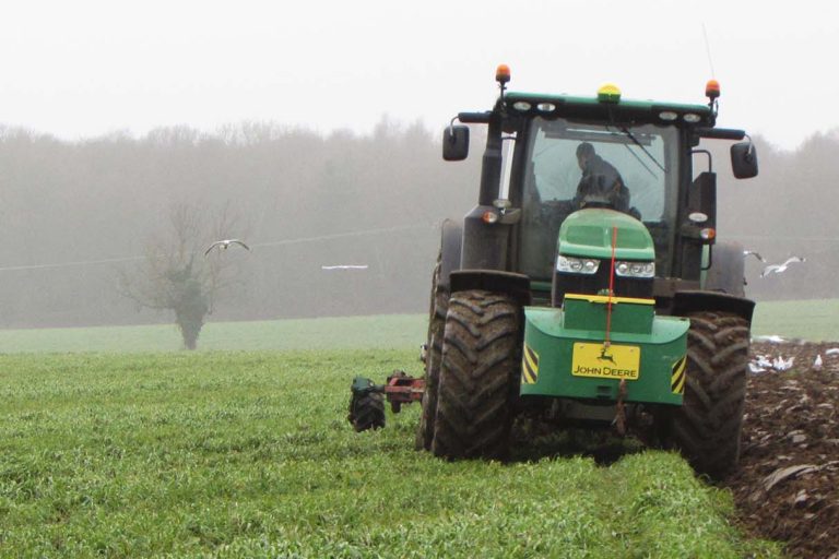 Exploring soil health and carbon storage under regenerative compared to conventional agricultural management