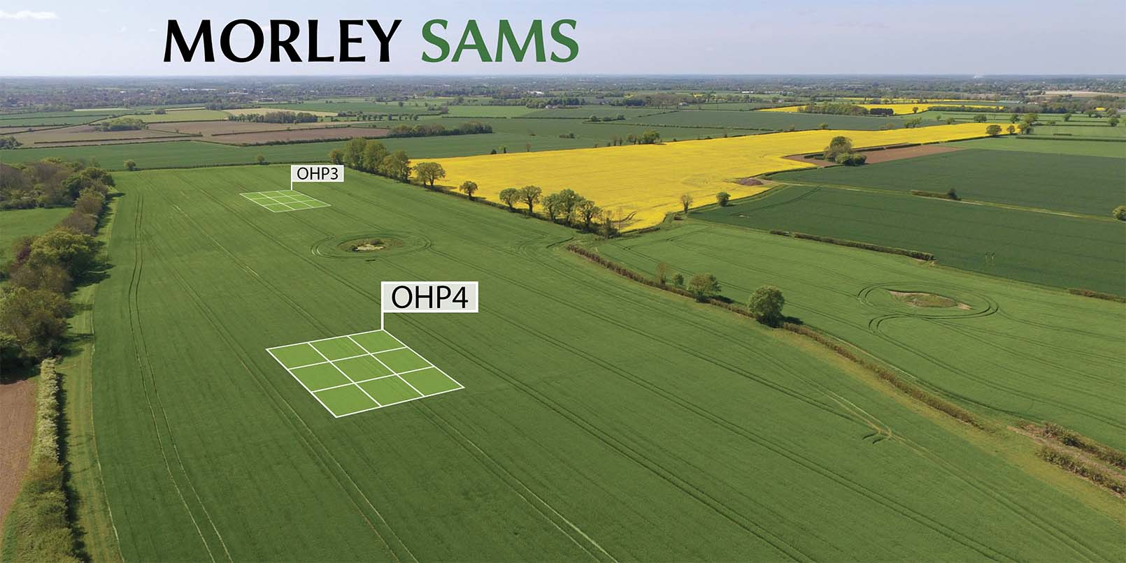 Morley SAMS 5 year reflection – main image