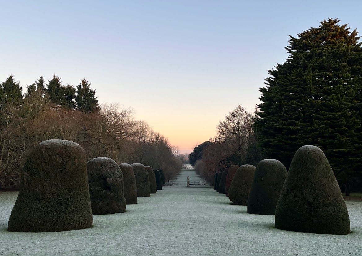Garden view by Louisa Moor