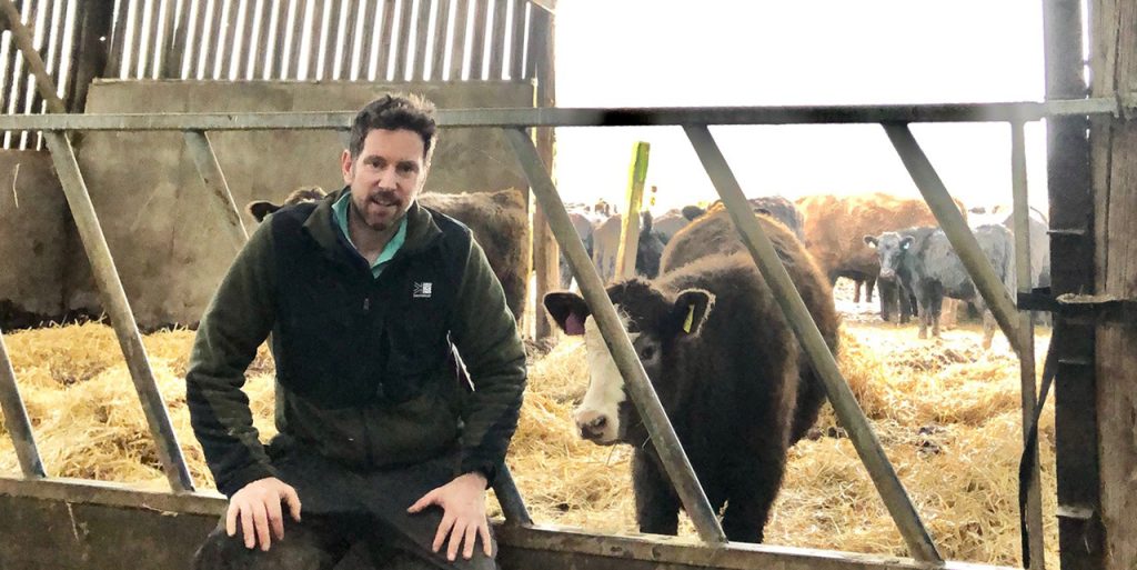 Sam Pearman with livestock