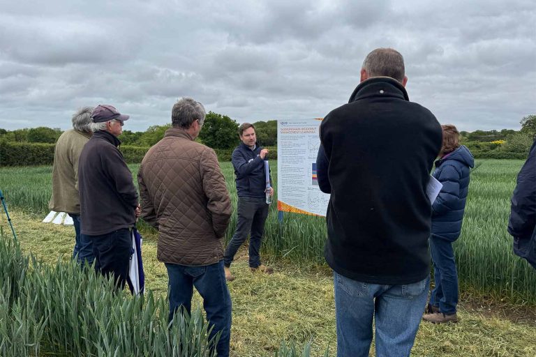Showing results from long term TMAF-supported farm trials at Saxmundham