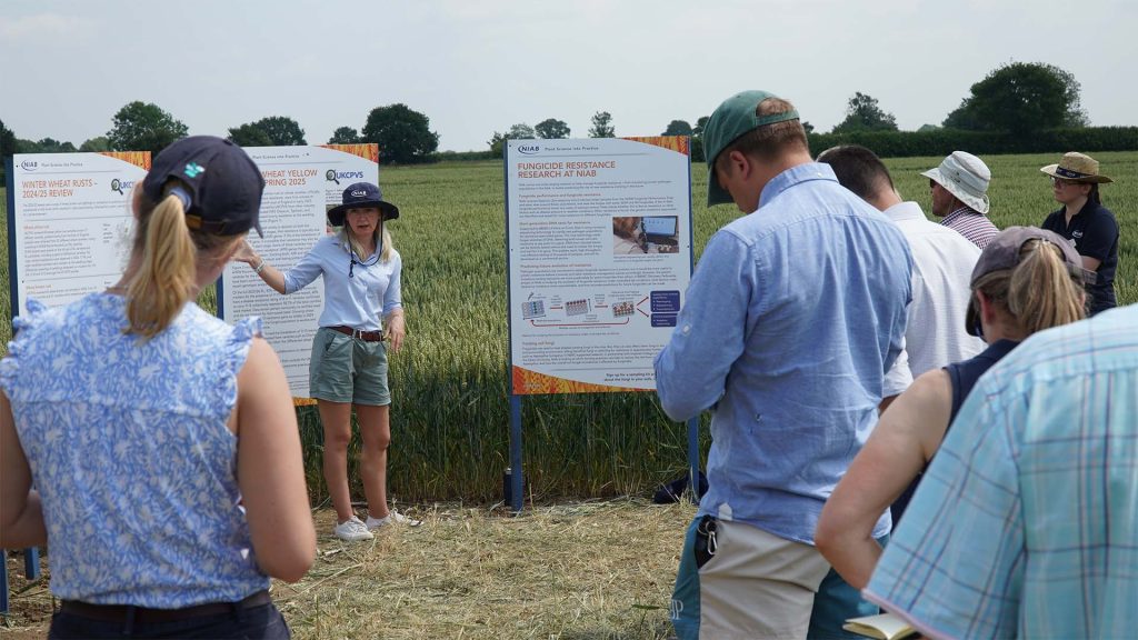 Niab Plant Pathologist, Dr Aoife O' Driscoll