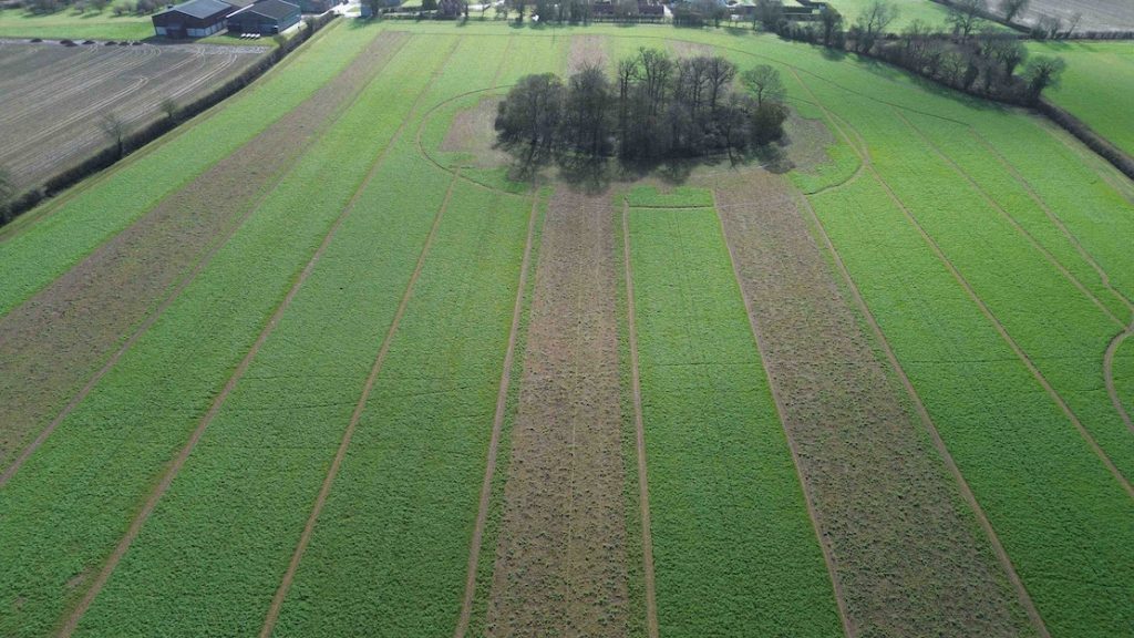 The ADOPT research trials at Morley Farms