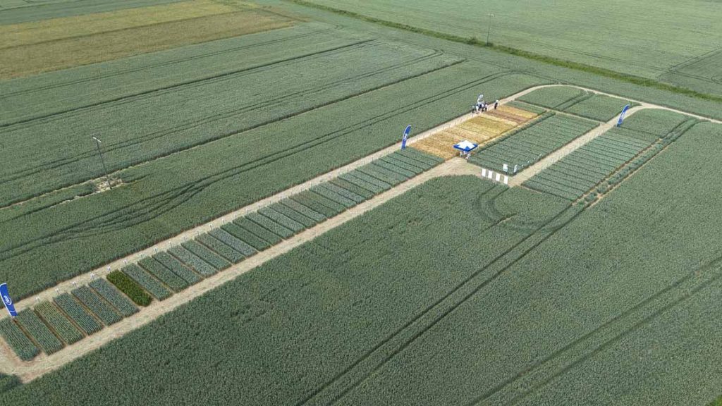 Drone shot showing individual farm trials, and group of farmers on a guided walk