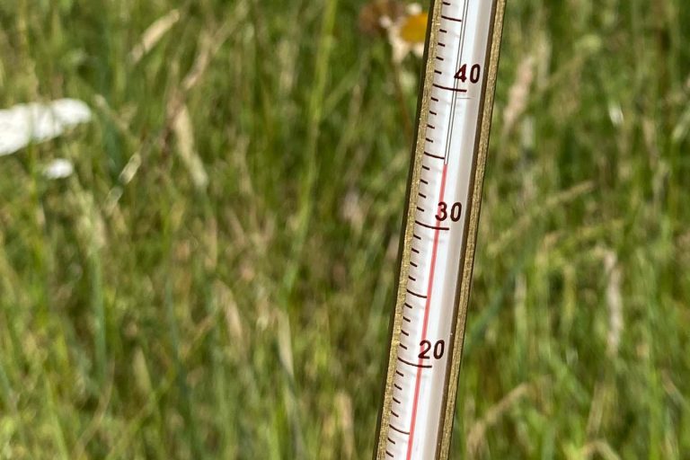 Morley Farms reaches 35 degrees centigrade