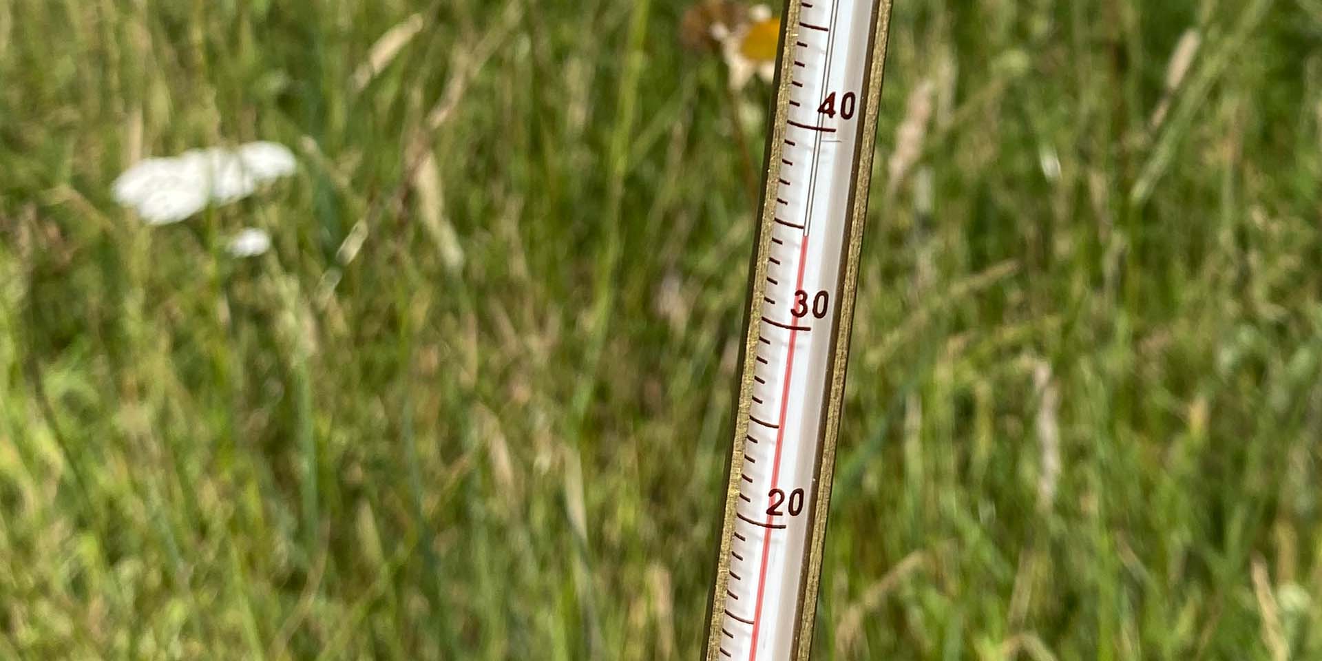 Morley Farms reaches 35 degrees centigrade Morley Farms reaches 35 degrees centigrade