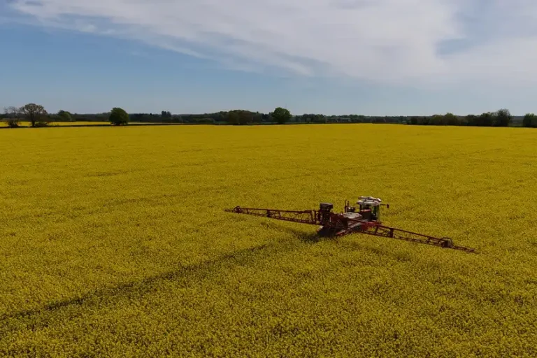 Photograph of crop sprayer driving through a field of oil seed rape with the spray booms extended